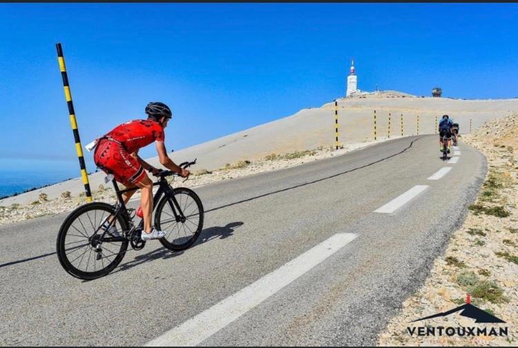 Maisonnette du Ventoux, kamer Bédoin Extérieur photo